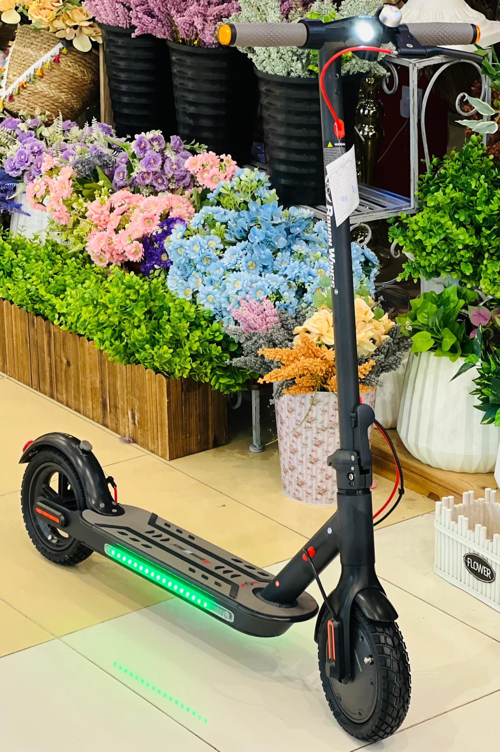 Rohan Wings HT-04 Electric Scooter | 300W Motor | 36V7.8Ah | Bluetooth APP | UAE