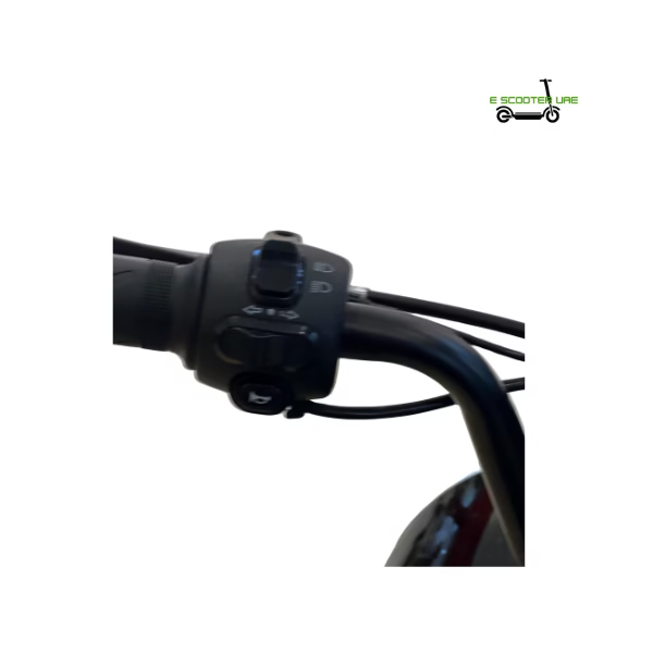 Rohan Wings GW20 Stylish Electric Scooter For Women | 40–50 km/h Speed | 25 km Range | Perfect for Daily Commute | Designed for Female Riders