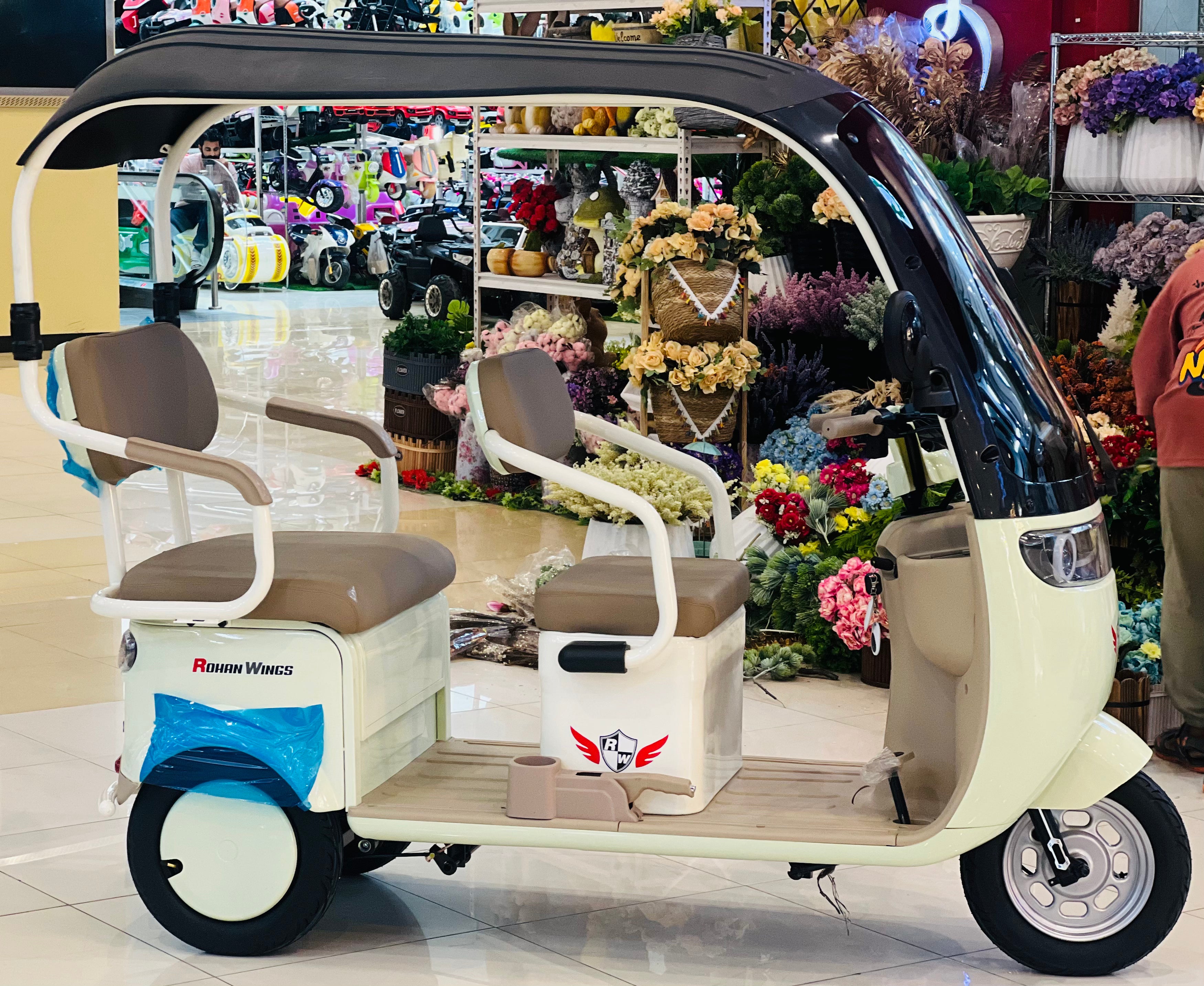 Rohan Wings C6 3-Wheel Electric Scooter Tuk Tuk
