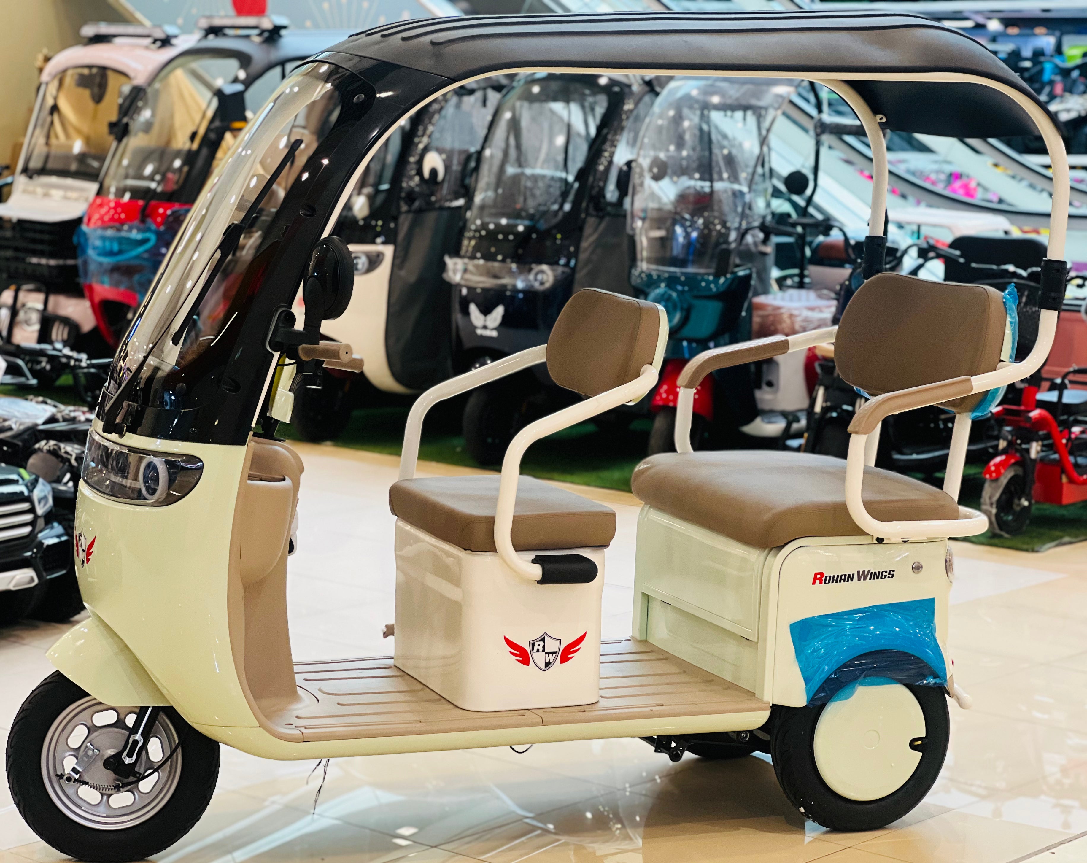 Rohan Wings C6 3-Wheel Electric Scooter Tuk Tuk