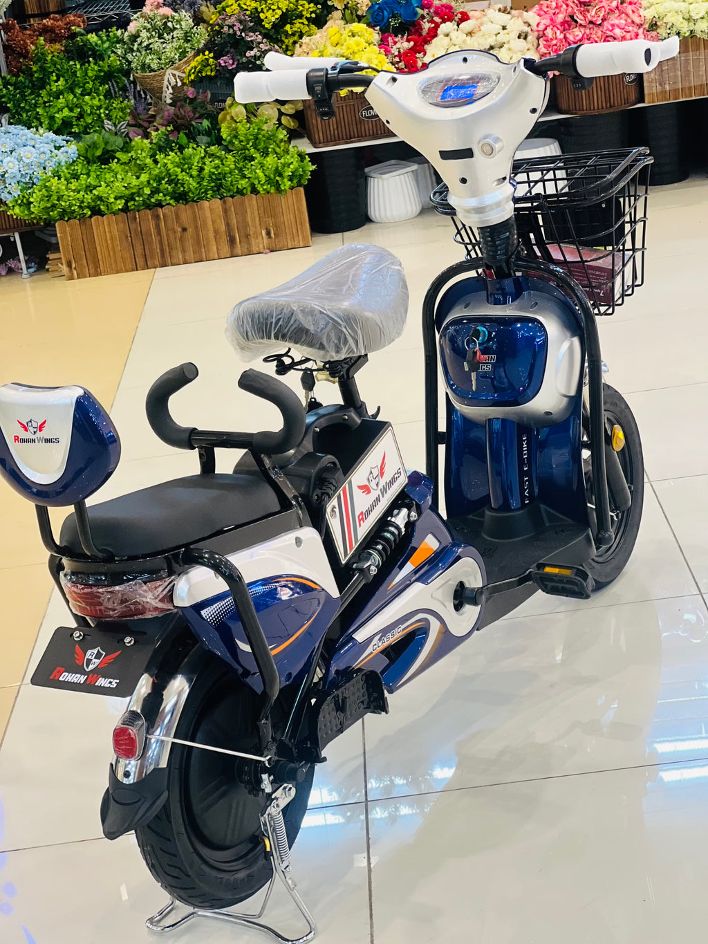 Rohan Wings JML-4 Delivery Electric Scooter | Manual and Electric Drive | 48V 12Ah Battery | 25-30km/h Speed