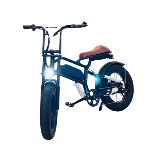 Rohan Wings ST-20 Electric Scooter