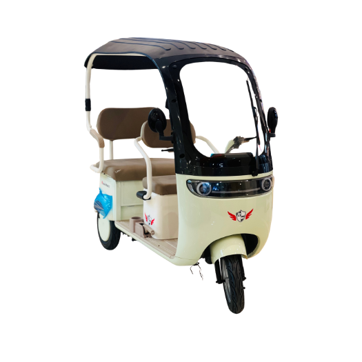 Rohan Wings C6 3-Wheel Electric Scooter Tuk Tuk